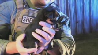 Live PD: Greatest Shifts - 642