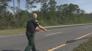 Live PD: Police Patrol - 297