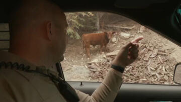 Episode 15 Live Rescue: Rewind #43