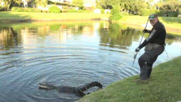 Episode 18 Live Rescue: Rewind #46