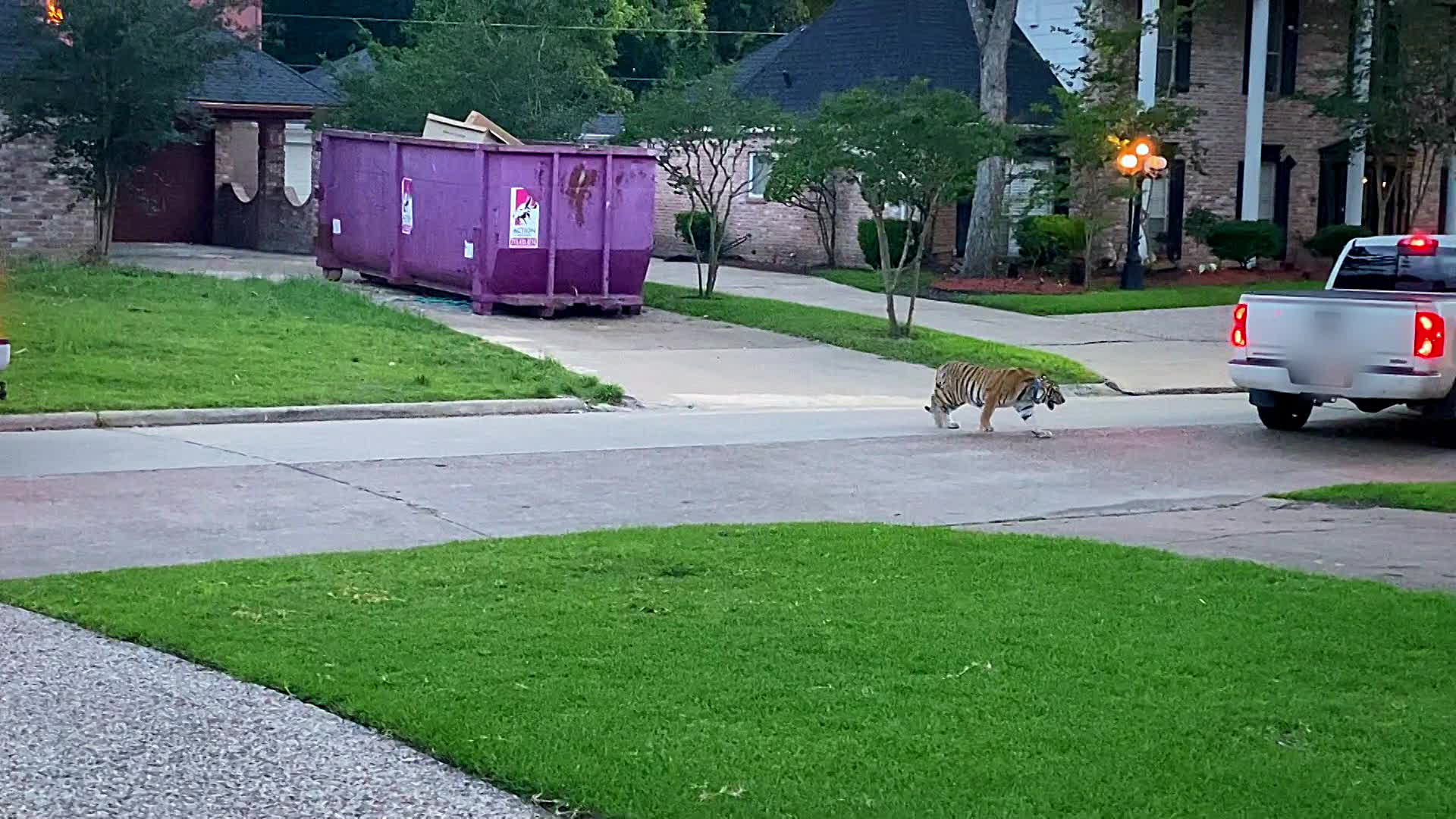 Meet the Neighbors!