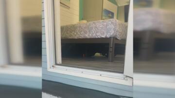 Episode 7 Neighbor Under My Bed