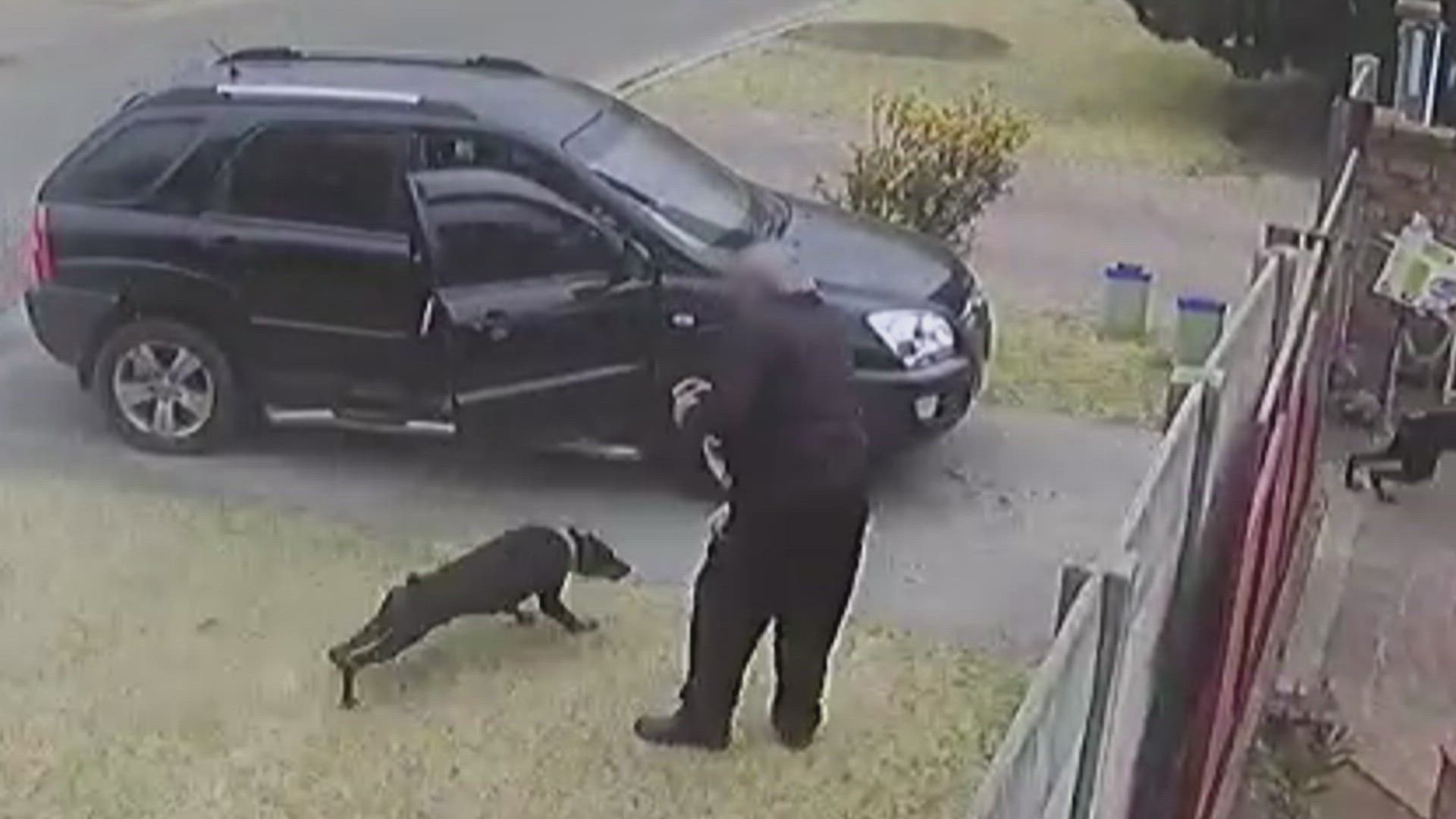 Neighborhood Wars