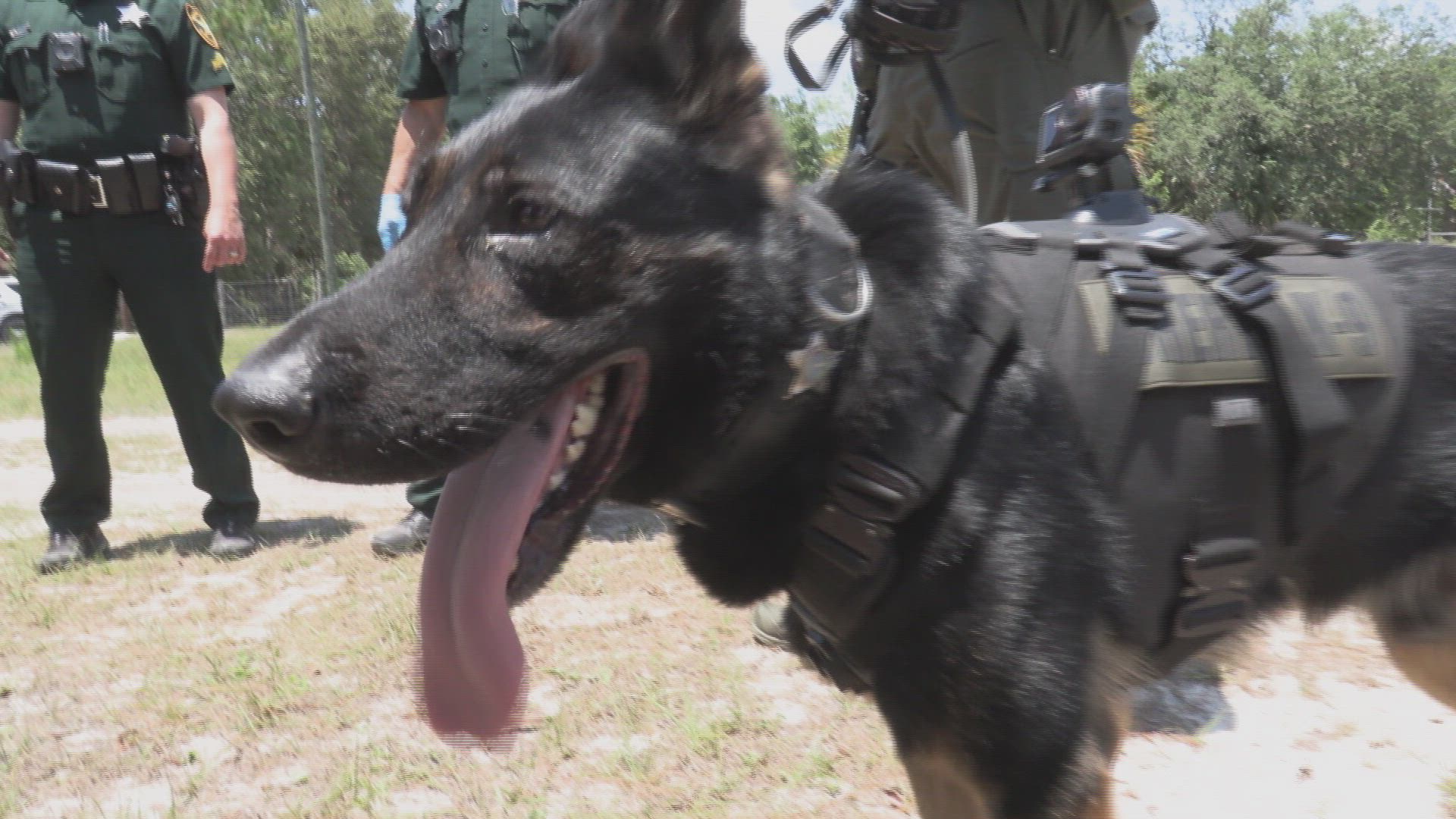 Live PD: K9 Patrol