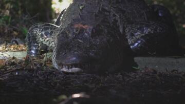 Episode 6 Episode 10