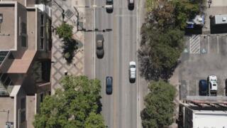 Honk If You Love Drama