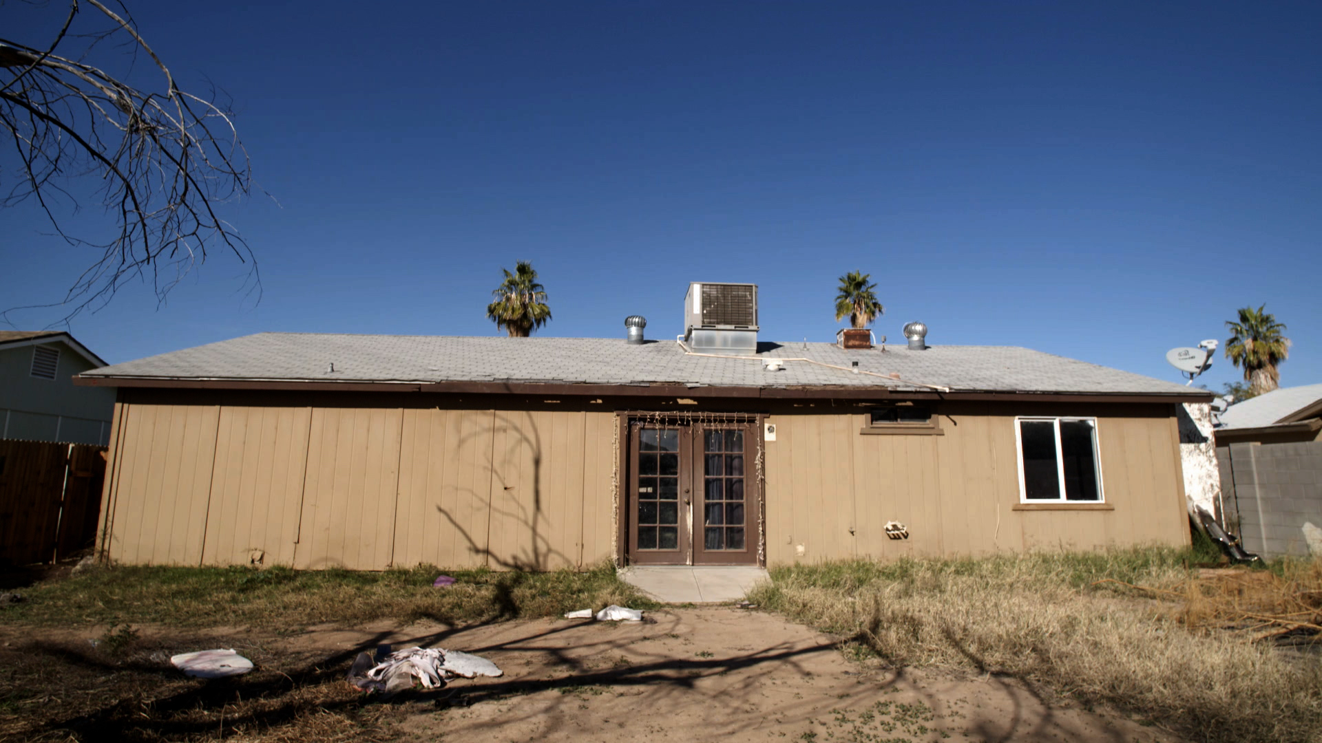 Frankenhouse Vs. Hairball house