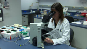 Episode 17 The Bedroom Basher