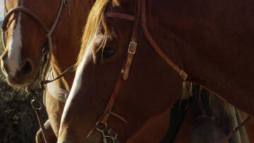 Episode 18 Baby for Sale / The Barrel