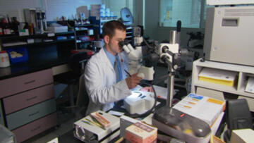 Episode 19 The Bitemark / Justice for Eglena