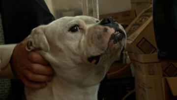 6 Million Dollar Question