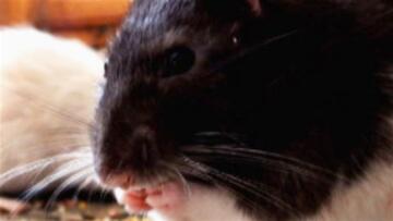 Episode 22 Glen/Lisa