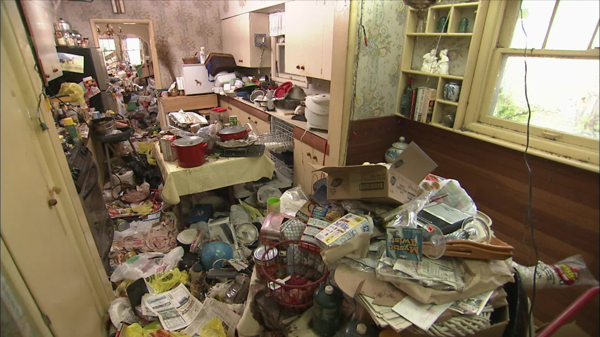 aetv hoarders before and after