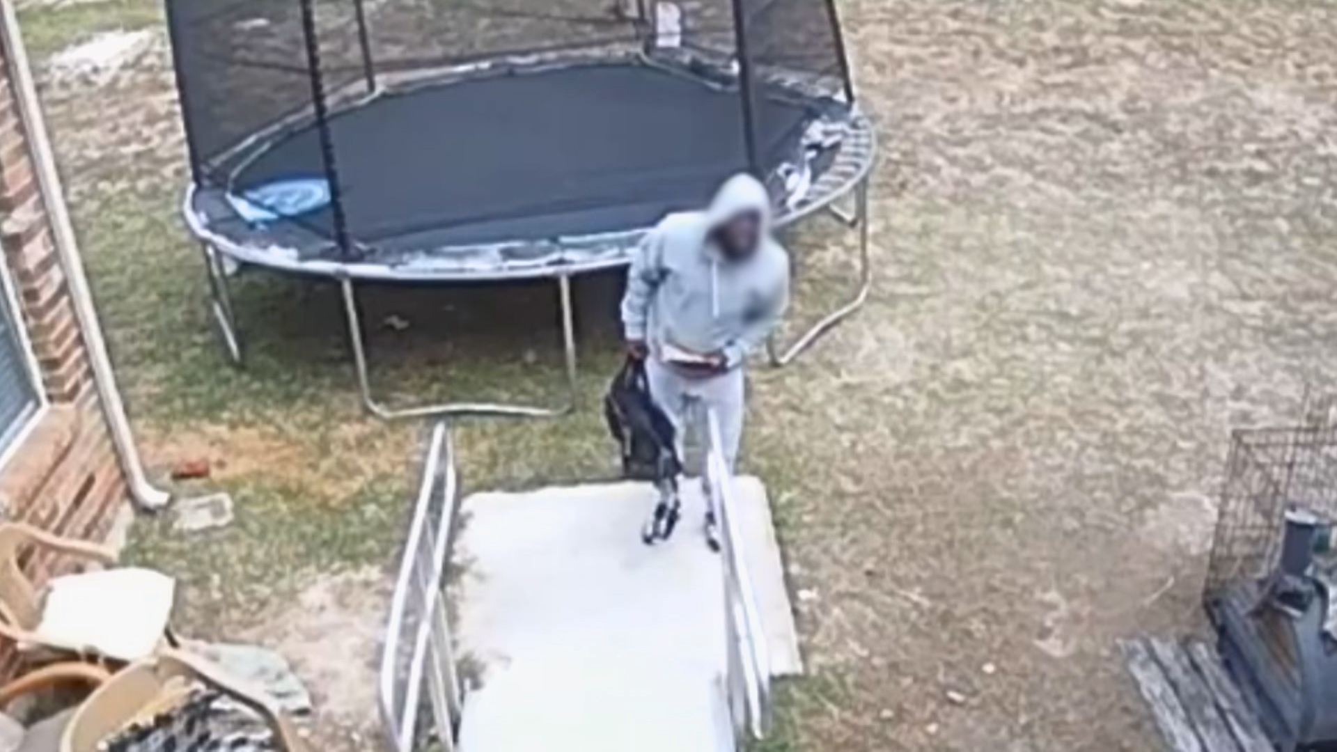 TERRIFIED Cocky Thief Escapes Hastily When Alarm Goes Off
