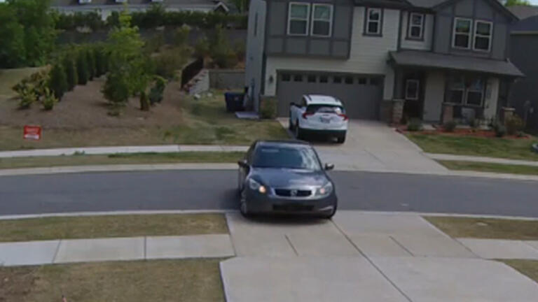Woman Impersonates Homeowner and Steals Package thumbnail