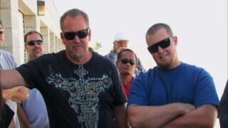 Not Your Average Bear