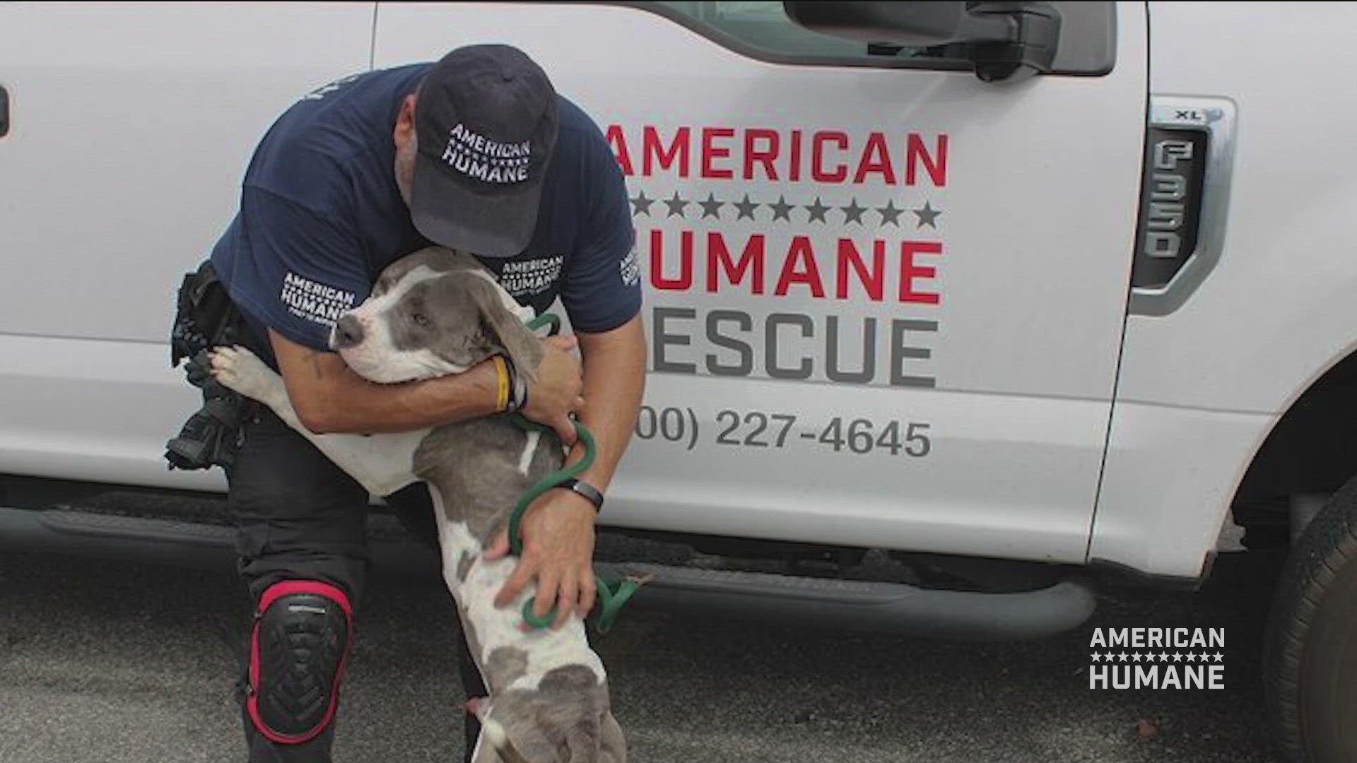 Hero Dog Awards
