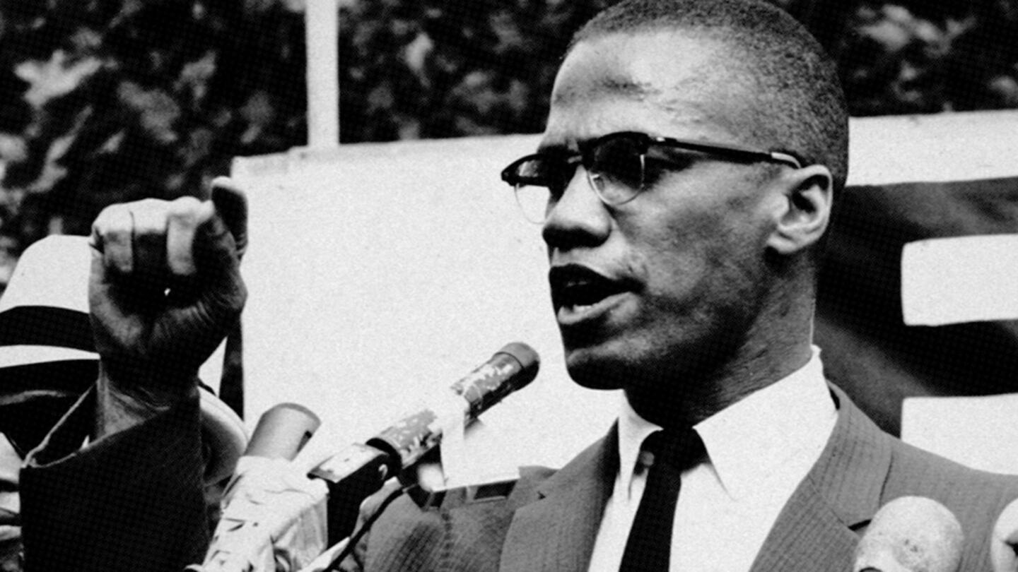 Malcolm X Quotes Movie Children Biography