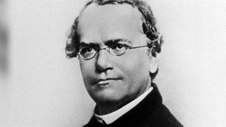 Image result for gregor mendel