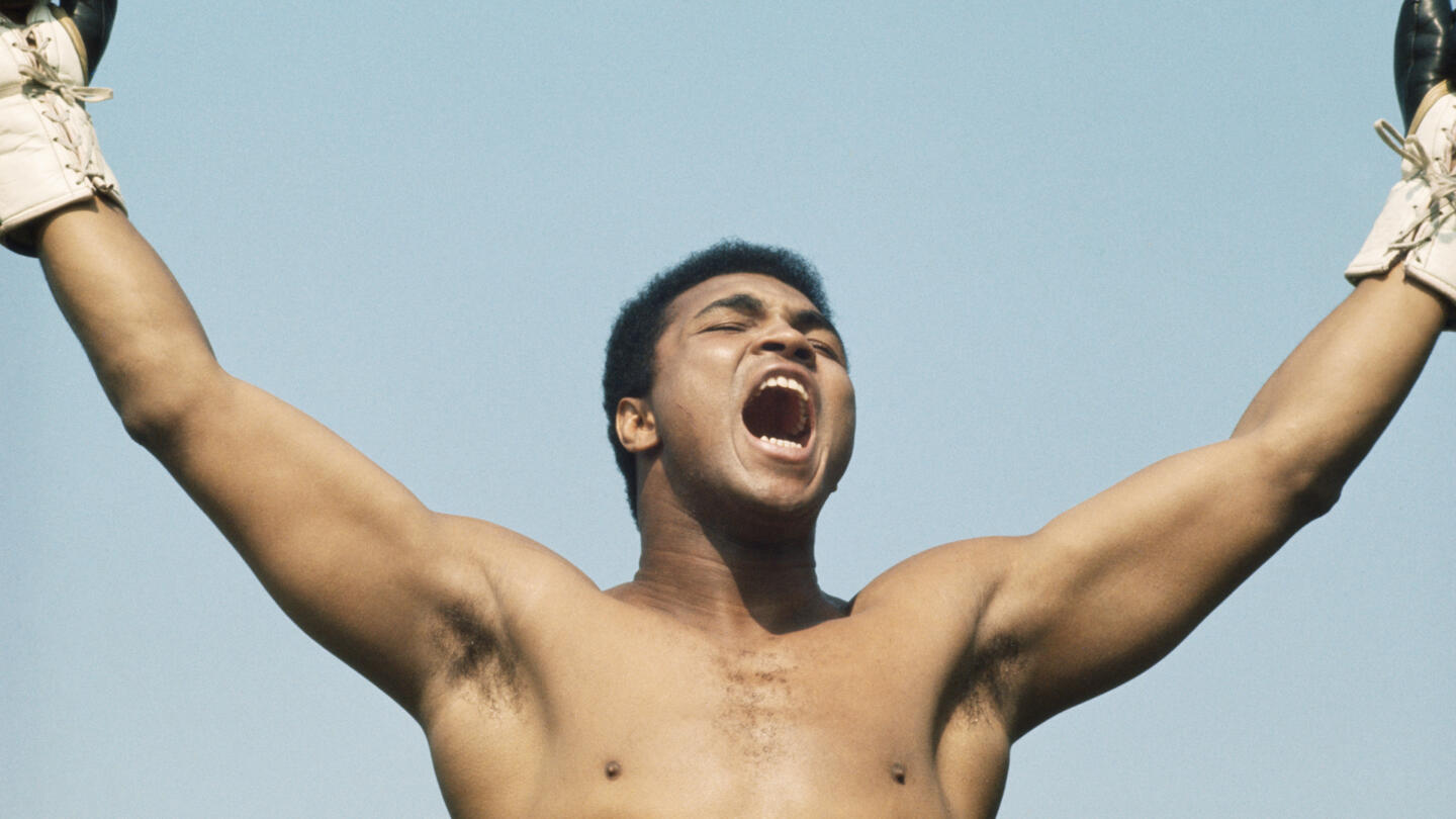 Muhammad Ali Float Like A Butterfly Sting Like A Bee Biography