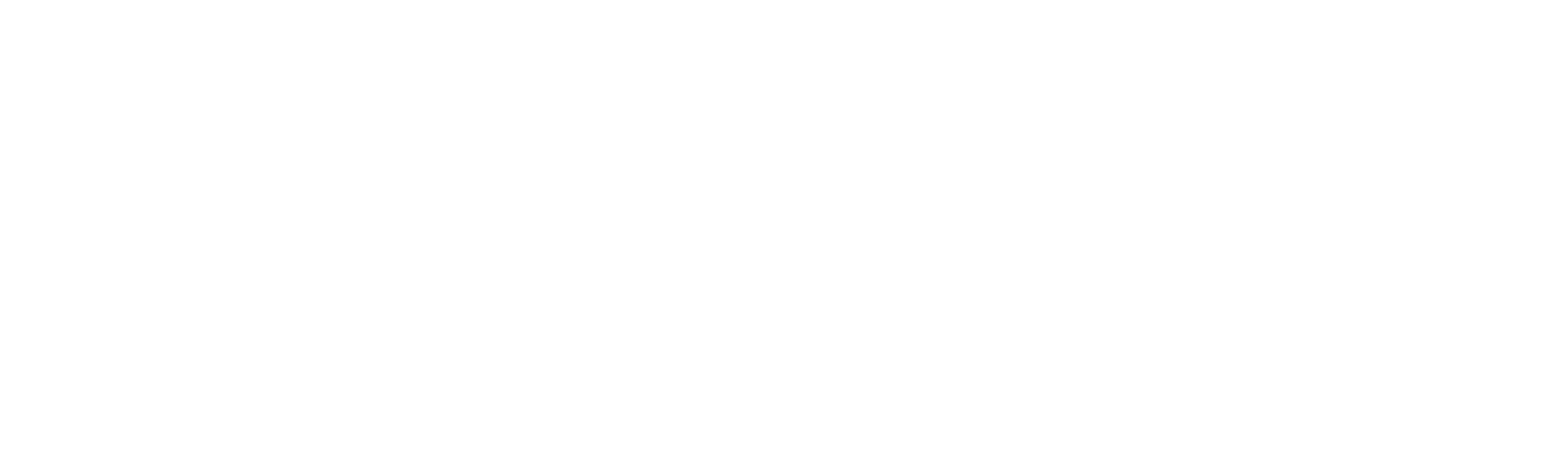 The James Gang: Outlaw Brothers