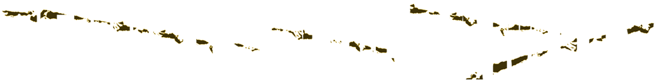 Secrets in the Family