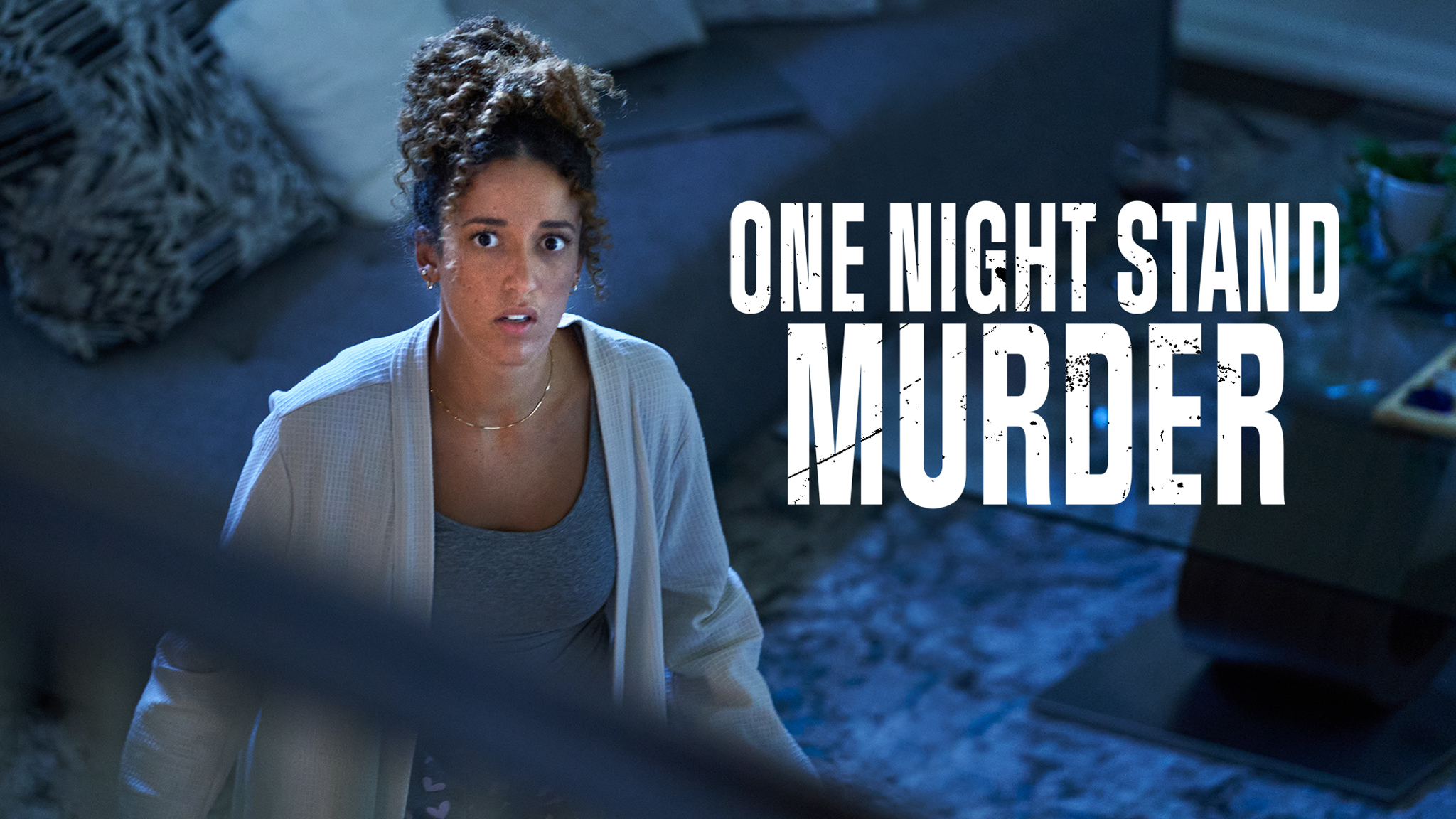 One Night Stand Murder