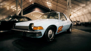 Episode 14 The Golden One