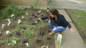 Episode 7 Miracle on Hidden Acres