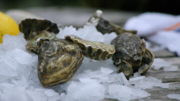 Episode 10 Seattle, WA