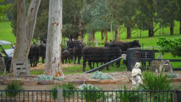 Episode 7 Mansfield Nick and Julie