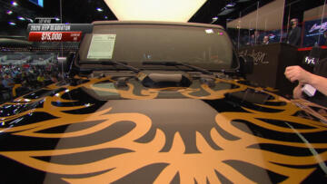 Episode 17 From Rare to Powerful