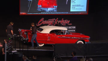 Episode 3 Options for Everyone!