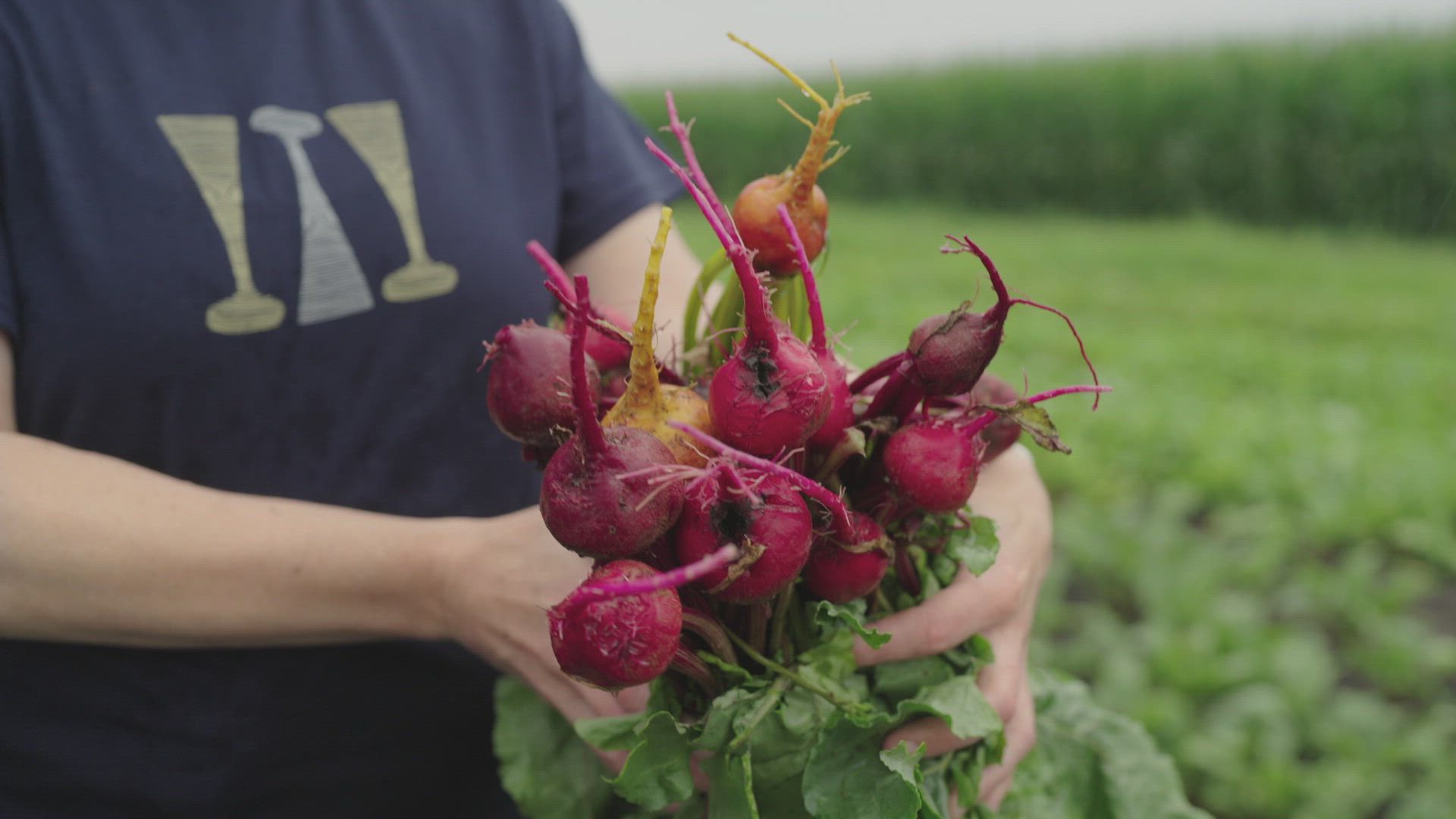 Beets with Emma Bengsston
