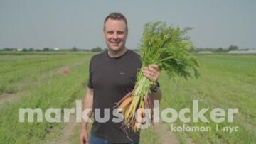 Episode 3 Carrots with Markus Glocker