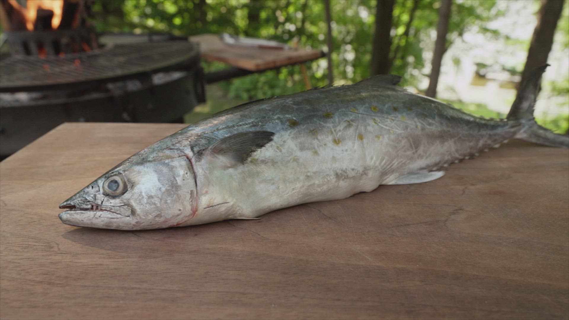 Andrew Zimmern's Wild Game Kitchen