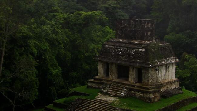 The Maya: Death Empire