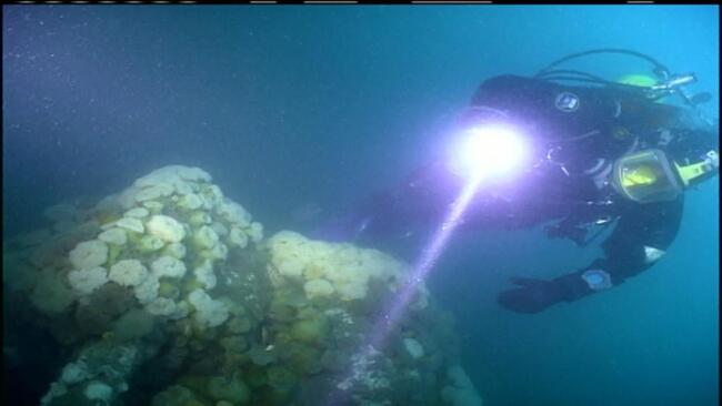 Underwater Train  Wreck
