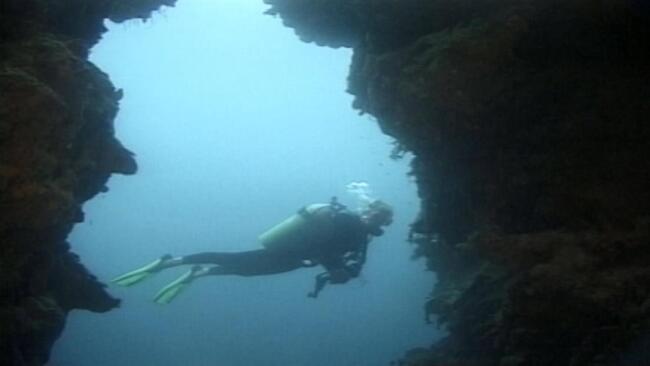 Scuba And Deep Sea Diving