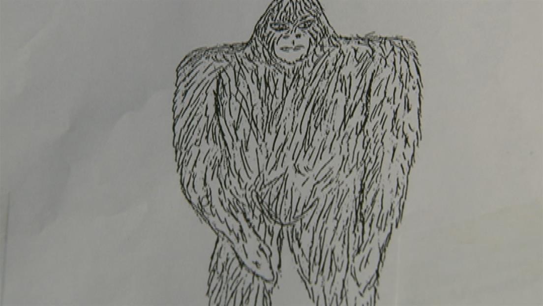Bigfoot In New York History Vault