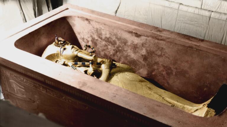 Who Really Killed King Tut? thumbnail