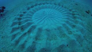 Infrared UFO Attack, Human Bear, and Underwater Crop Circles