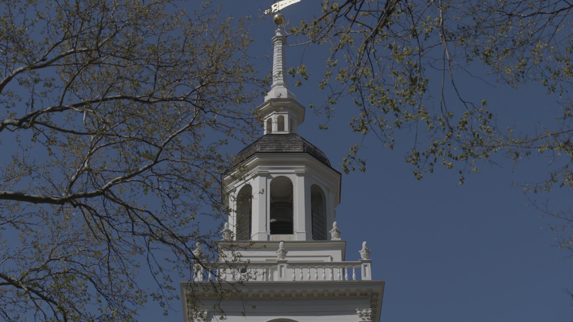 British Tyranny Pushes Jefferson Towards Liberty thumbnail