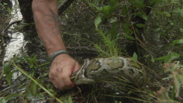 Episode 6 Python Gamble