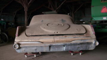 Episode 11 Ick Factor