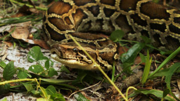 Episode 8 All Hands on Deck