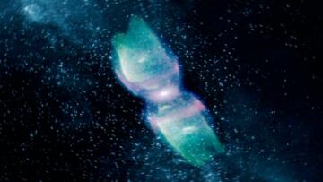 Episode 14 Nebulas