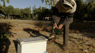 Episode 11 Nature's Engineers