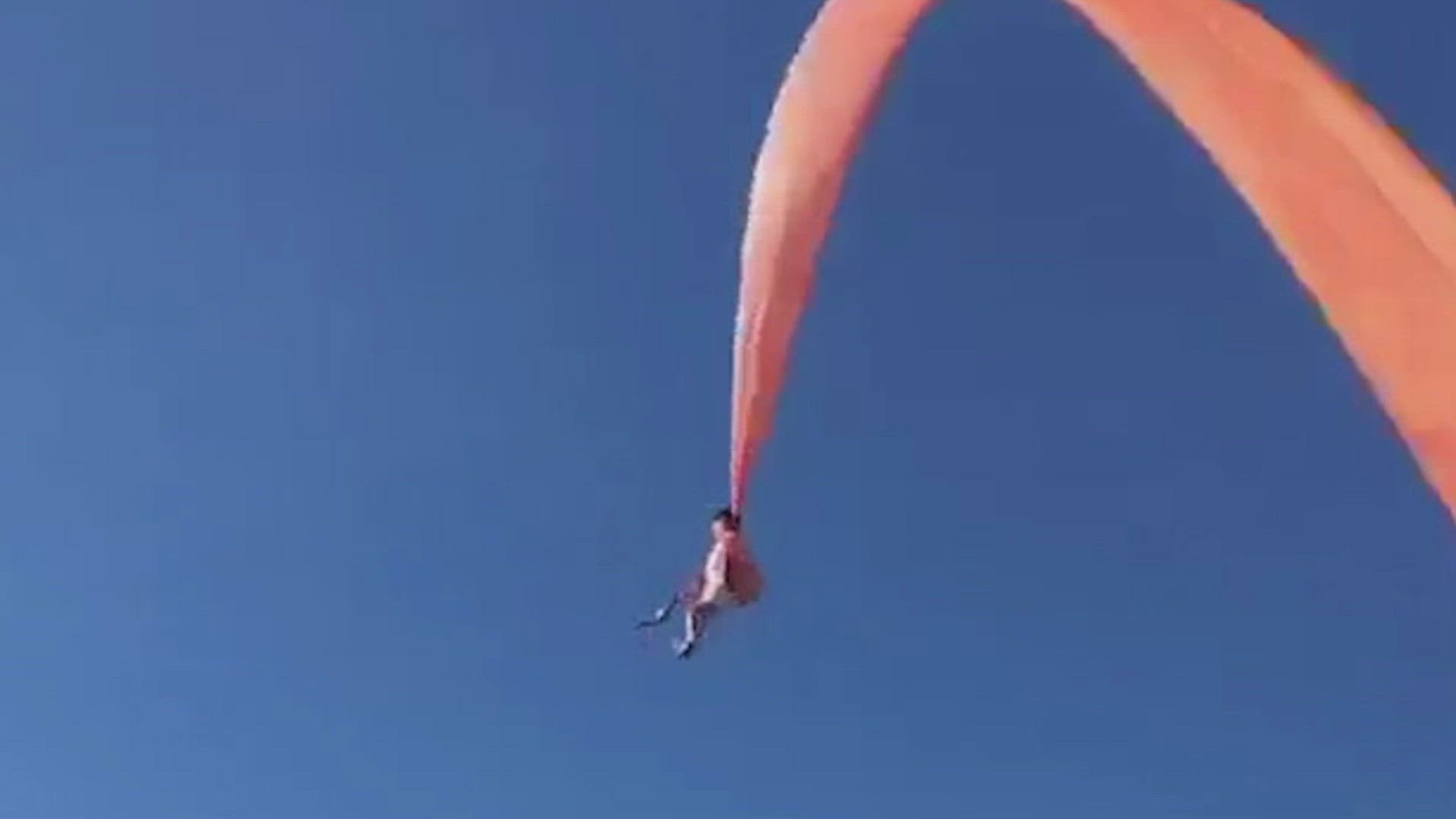 Are These the World's Most Unnatural Encounters? thumbnail