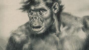 Episode 4 What is the Yeti?